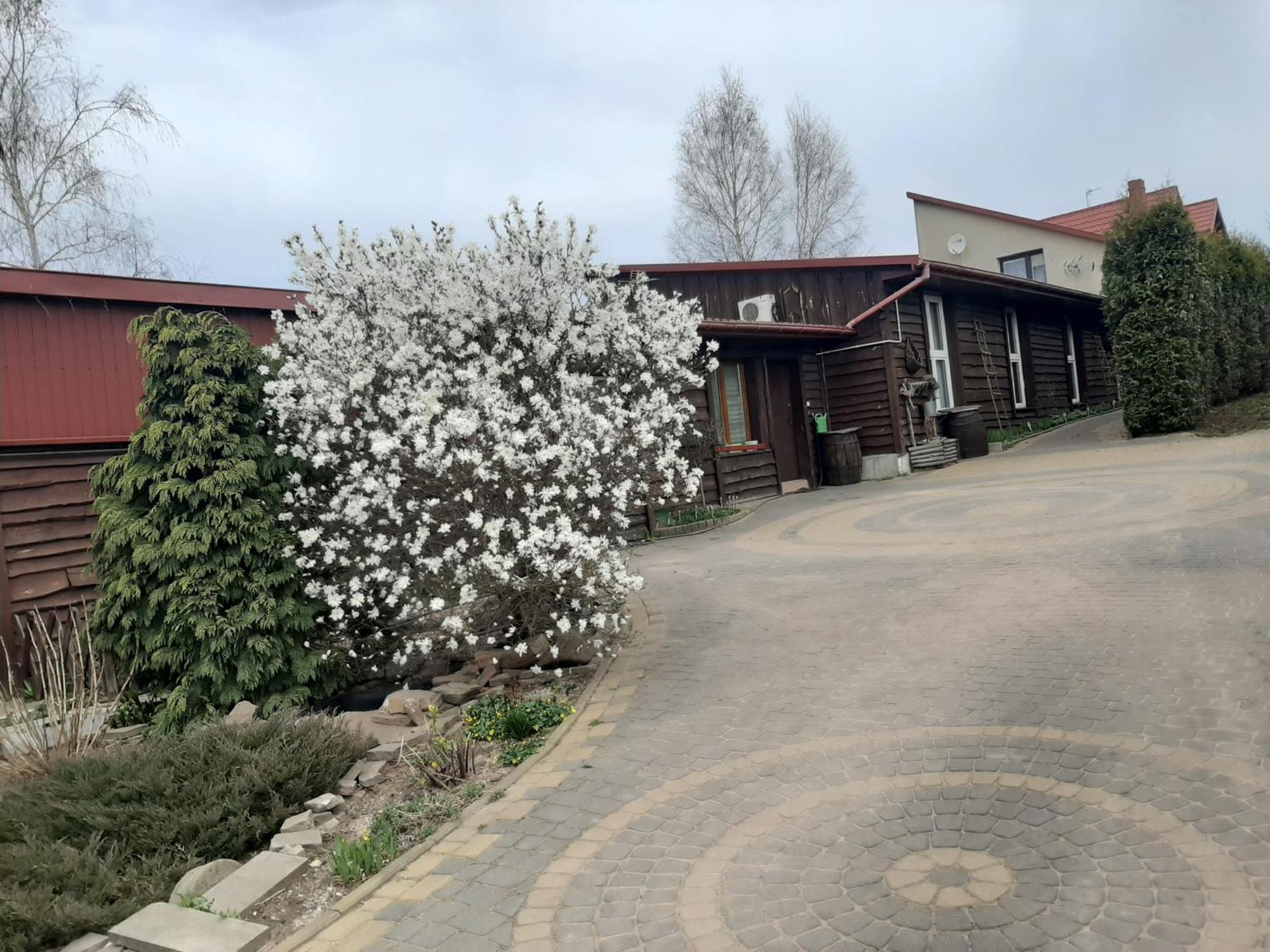 Zielone Zacisze Zagnansk Exterior foto