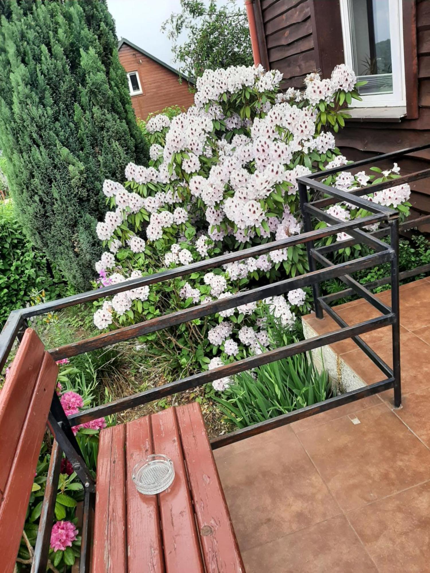 Zielone Zacisze Zagnansk Exterior foto