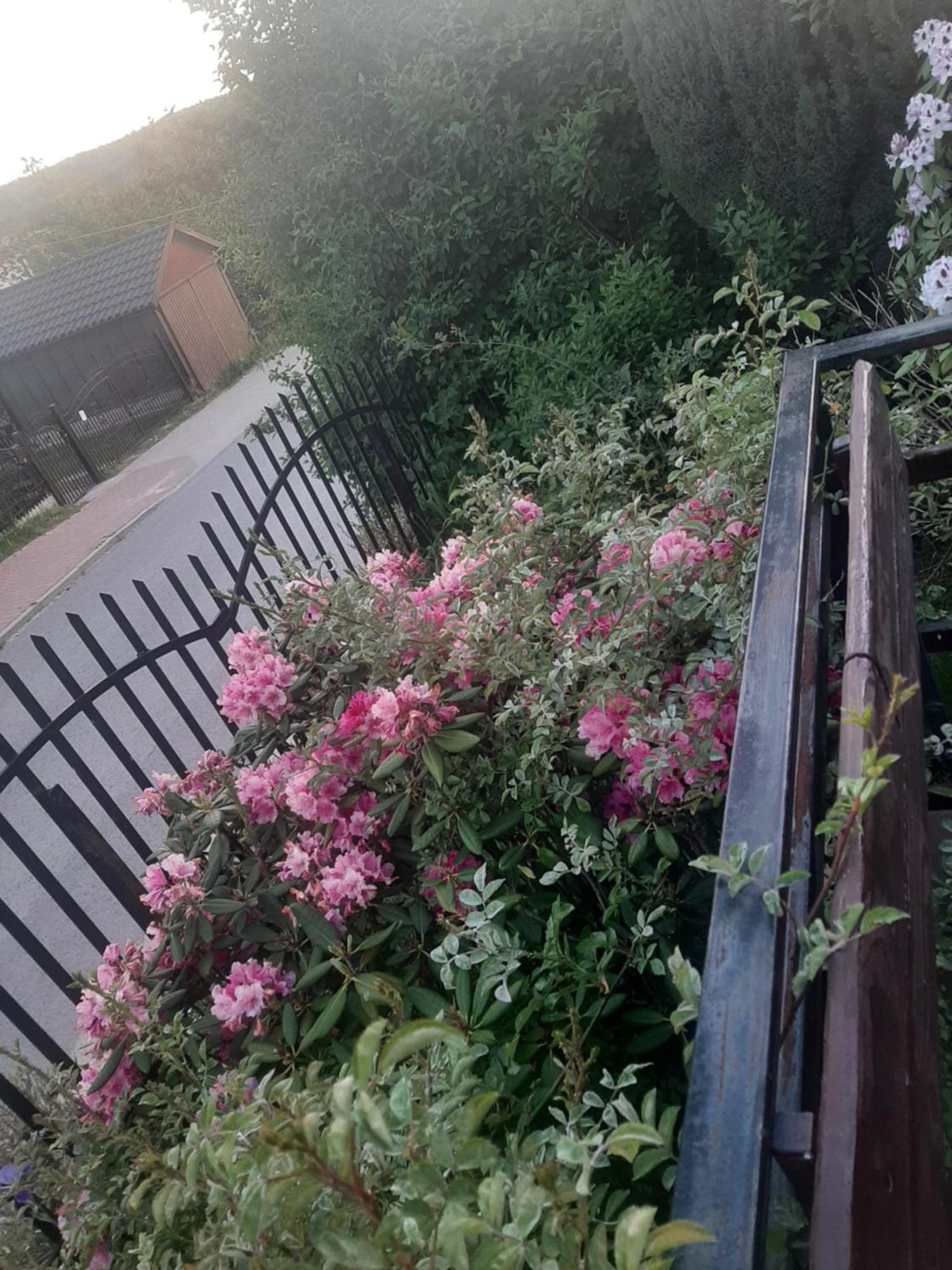 Zielone Zacisze Zagnansk Exterior foto